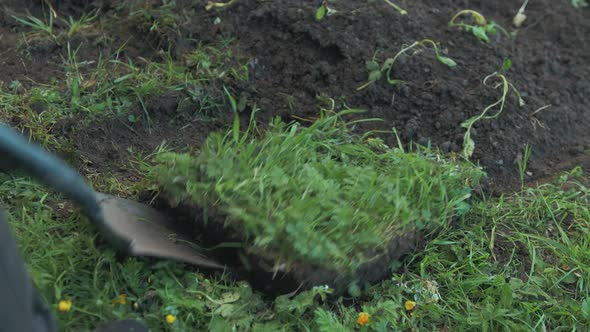 Ring sod of soil from garden with shovel