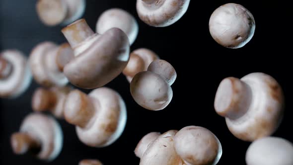 White delicious mushrooms champignons fly up and hang in the air in super slow motion