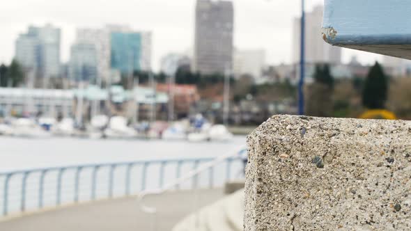 Man riding a bike on the promenade near the harbor 4k