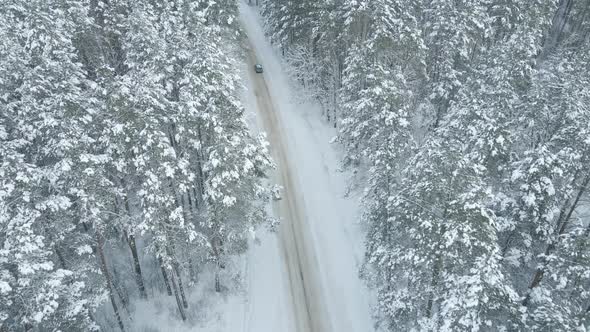 Snow Road Through Winter Forest Aerial View