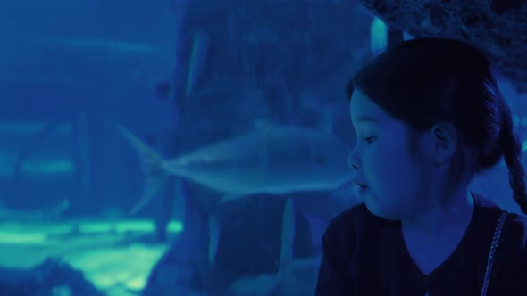 Cute Girl Watching Fishes in a Large Aquarium