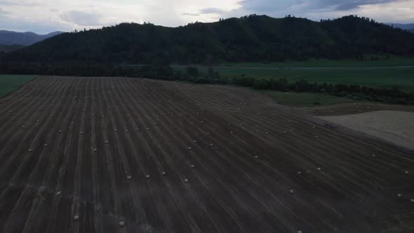 Agriculture brown fields in Altai under thunderstorm sky