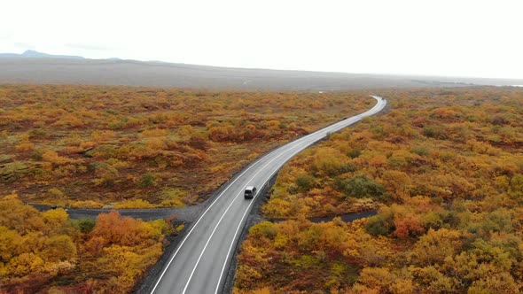 Aerial View of Car Driving Along Road in an Autumn Landscape, Iceland, National Park Thingvellir