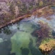 Colorful Lake Covered In Algae - VideoHive Item for Sale