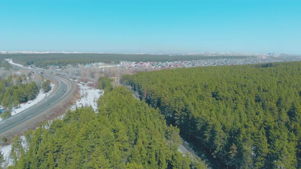 Grey Roads with White Snow on Kerbs Surrounded By Pine Trees