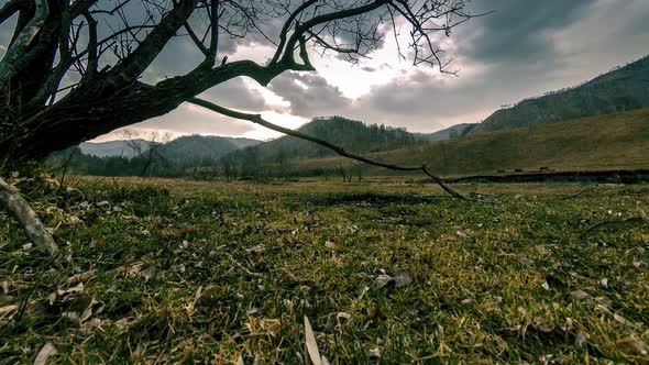 Time Lapse of Death Tree and Dry Yellow Grass at Mountian Landscape with Clouds and Sun Rays