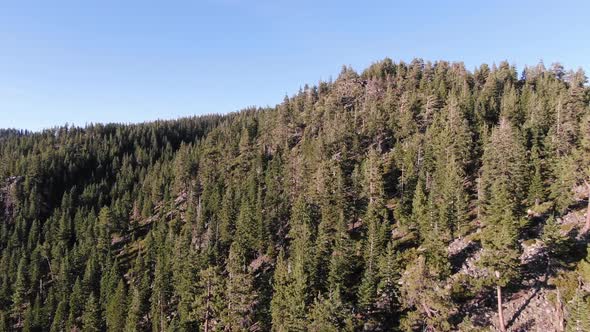 Drone ariel shot of a neighborhood in the forest of Lake Tahoe above nevada and california, showing