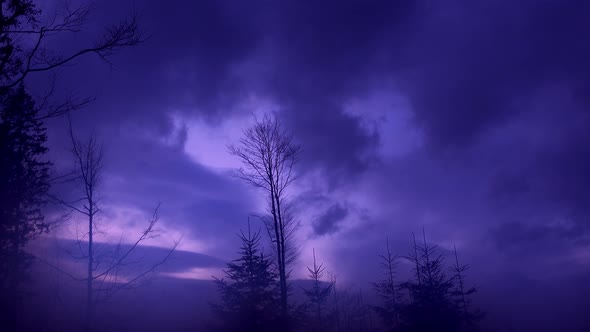 Purple Winter Landscape with Sunset Blue Pink Sunset Sky in Winter