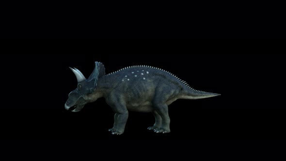 4K Diceratops Dinosaur alt