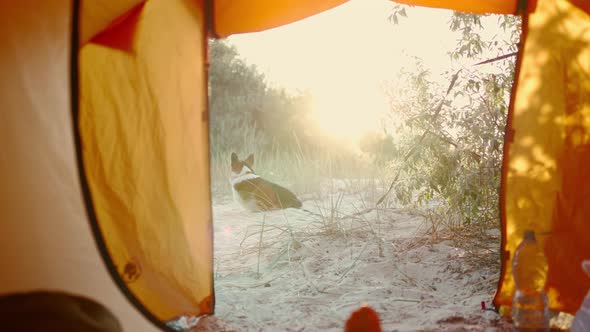 View From Inside of Tent on Tent Entry in Campsite on Sand in Bushes on Beach