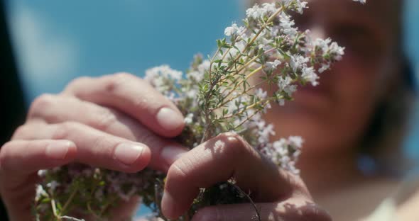 Picking thyme