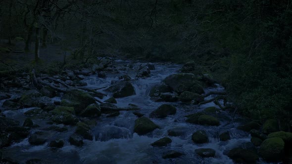 Forest River In The Evening Loop