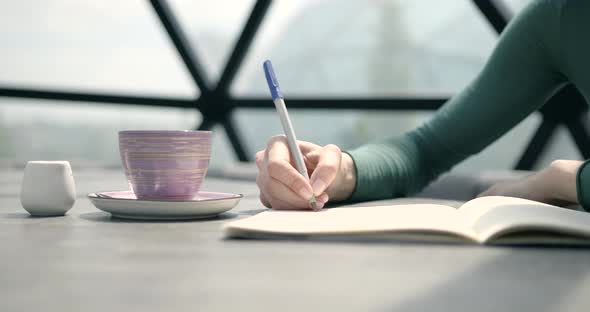 Female Freelancer Working Alone at Spacious Cafe