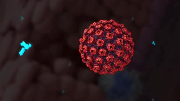 Human immune system virus 3d