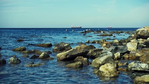 Gulls on the Rocks on the Horizon Ships in the Roadstead