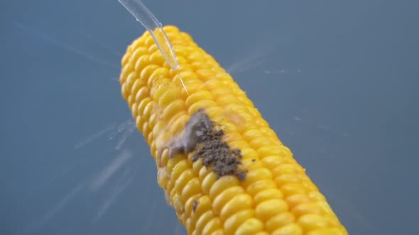 Corn And Water Pressure