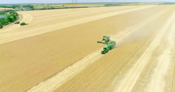 Modern combine harvester and tractor-trailer working on the wheat crop. Aerial view.