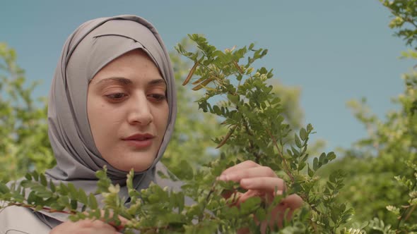 Muslim Woman Examining Leaves of Bush