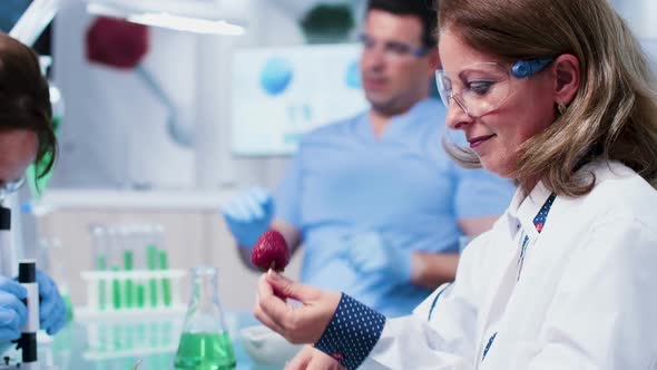 Close Up Footage of Researcher Testing New GMO on Strawberries