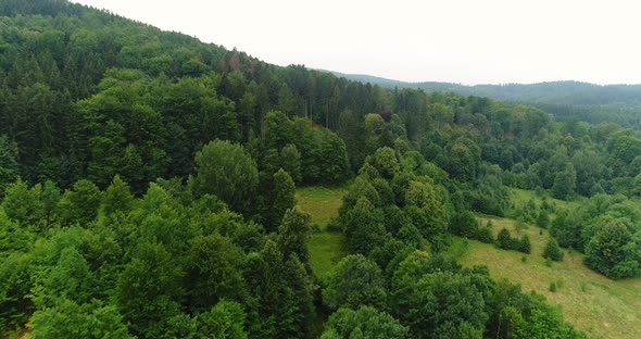 Aerial view of Woods