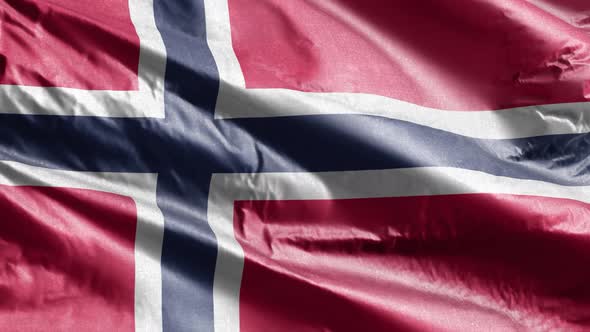 Norway textile flag waving on the wind. 10 seconds loop.