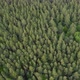 Flight over the green forest. Epic panoramic shot. Top view of pine trees in spring - VideoHive Item for Sale