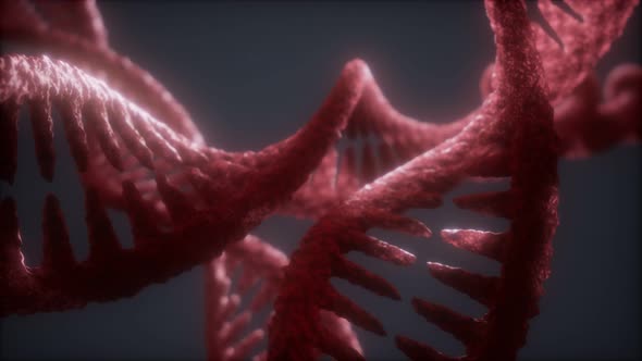 Loop Double Helical Structure of Dna Strand Close-up 