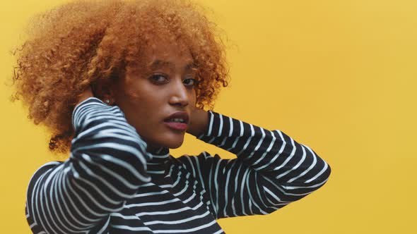 Beautiful Young African American Black Woman Showing Her New Curly Hairstyle