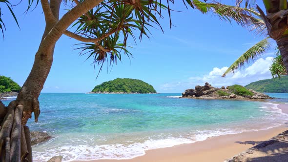 Beautiful coconut palm trees on the beach Phuket Thailand