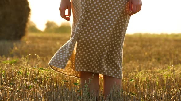 A Light Breeze Moves Dress Girl in Slow Motion. Women's Legs Close-up on a Wheat Field