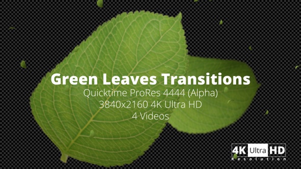 Green Leaves Transitions 4K