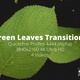 Green Leaves Transitions 4K - VideoHive Item for Sale