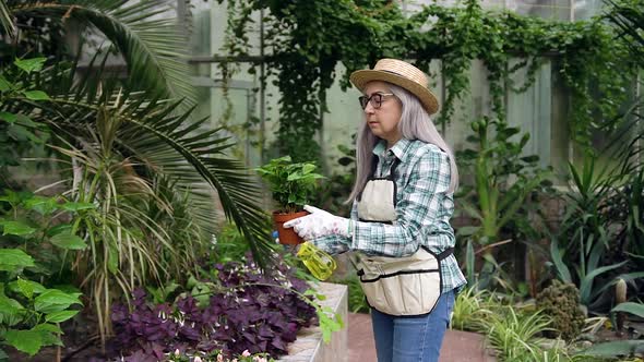 Senior Woman in Hat and Workwear Spraying Flower Pot with Water During Working