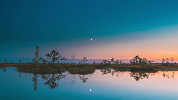 Sunset And Moon Rising Above Landscape With Lake Swamp Bog Marsh Wetland Nature At Night Light