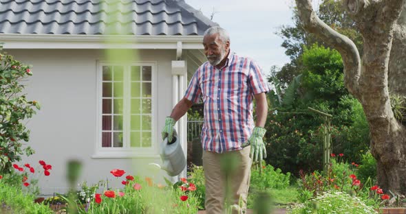 Animation of african american senior man gardening, watering flowers