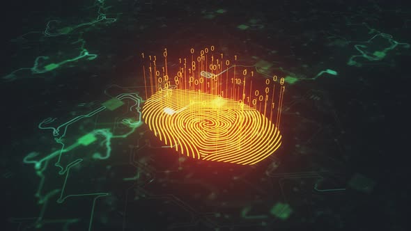 Digital Fingerprint Static Animation 4k