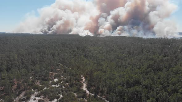 forest fire smoke clouds burning trail road ocala national forest florida aerial drone tilt reveal