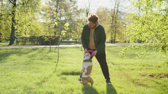 Man Playing with Staffordshire Terrier in Park