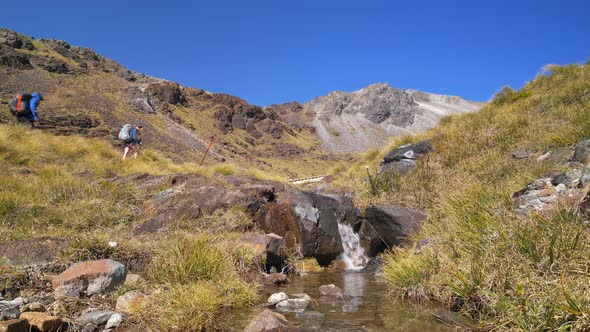 Static, hikers cross small alpine stream, Fiordland, Kepler Track New Zealand