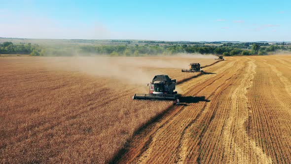 Crop-collecting Machines Are Gathering Harvest in the Field