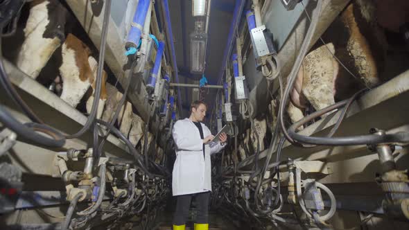 Cow milking parlor.