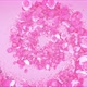 Pink Rose Petals circle on pink background - VideoHive Item for Sale