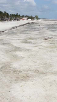 Vertical Video of Low Tide in the Ocean Near the Coast of Zanzibar Tanzania