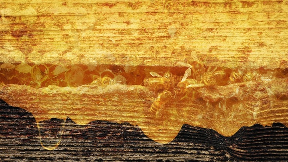 Bees And Honey Making Composite