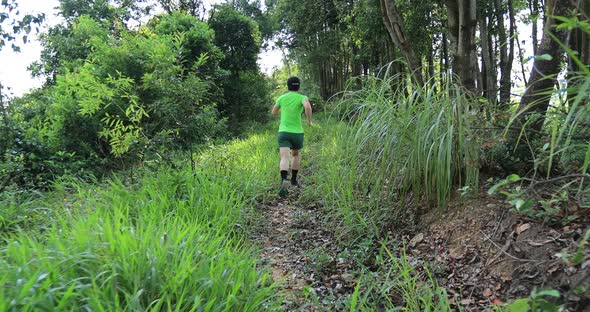 Woman trail runner running in tropical forest mountain