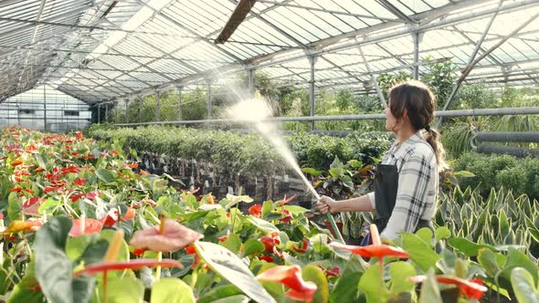Woman Watering Plants at Indoor Plantation