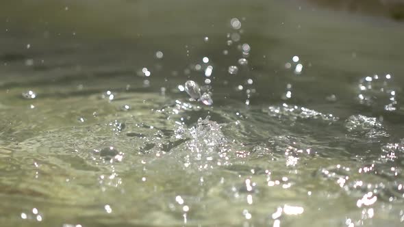 Water Drops