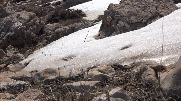 Snow on Stony and Rocky Snowy Mountain Surface Melts in Spring