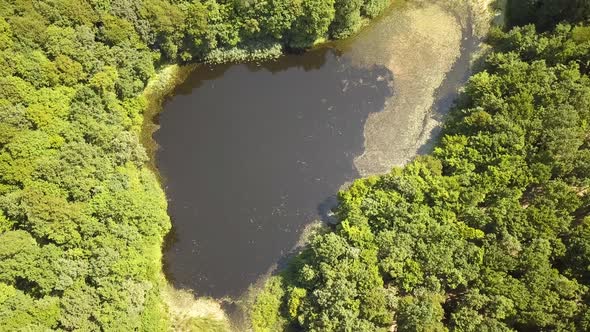 Aerial view of a small forest lake in the middle of green dense woods