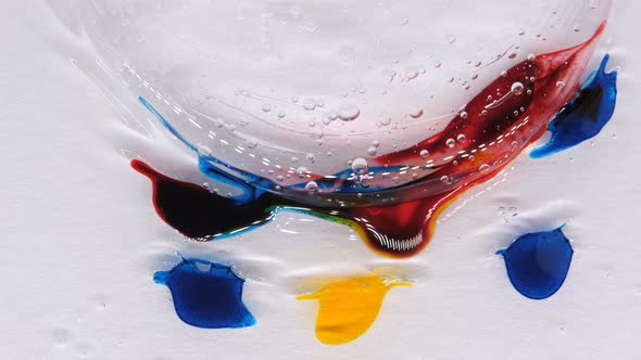 Transparent Space Liquid is Filled with Drops of Red Blue Yellow and Green Paint